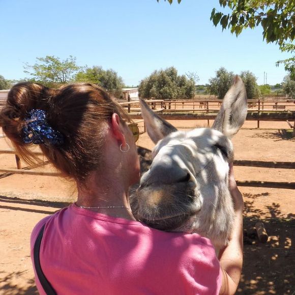 Meet your Posher, Marline - Picture 1 of 1